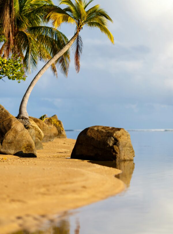 alexis-antonio-zR8ekoHsoPo-unsplash