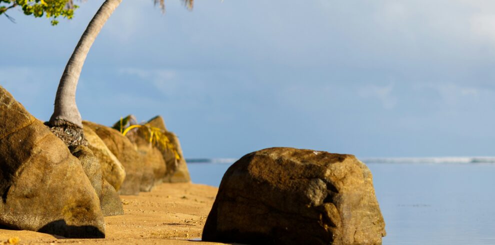 alexis-antonio-zR8ekoHsoPo-unsplash